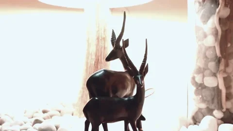 Interior Deer Statue Stock Footage 203246459