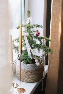 Interior design with christmas tree and candles. Home decor. New Year lace Stock Photos