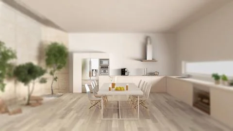 Interior design depth of field, contemporary white kitchen with inner garden, Stock-Illustration