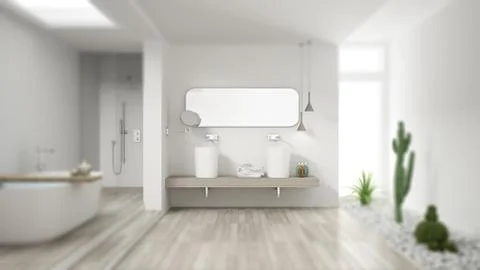 Interior design depth of field, contemporary white bathroom with succulent ga Stock-Illustration