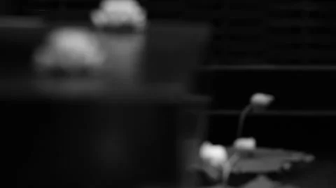 INTERIOR DESIGN Vidéo 38707234