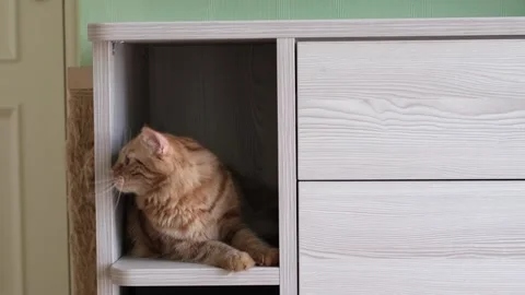 Interior design isn't just about aesthetics. it's about functionality too Stock Footage 247656795