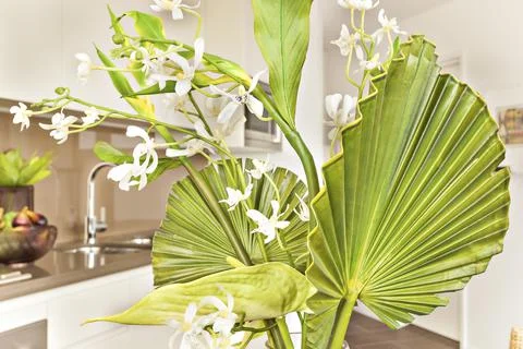 Interior design Stock Photos