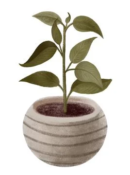 Interior design plant in gray ceramic striped pot, hand draw illustration Stock Illustration