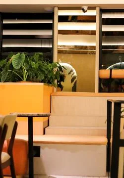 Interior design of stylish dining room interior with family wooden table, m.. Stock Photos
