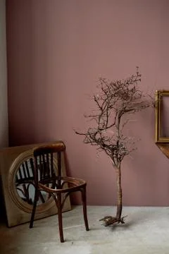 Interior desolation and devastation.A dead branch, a chair without a seat. Brown Foto stock