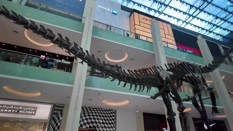 Interior of Dubai Mall, UAE, with dinosaur skeleton and luxury brand stores Stock Footage 340039937