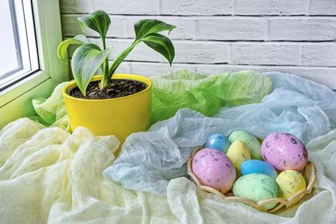 Interior Easter decoration with colorful eggs and potted flower Stock Photos