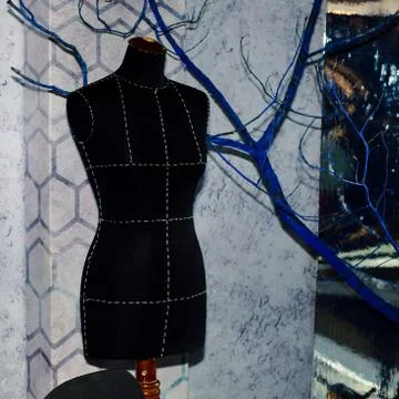 Interior elements at Christmas time with or without a Christmas tree Stock Photos