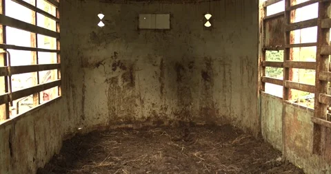 Interior of an empty barn stall in Brookville, Indiana, with worn walls Stock Footage 333183901