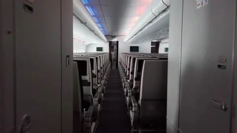 Interior from empty modern luxury intercontinental passenger plane Video stock 220441189