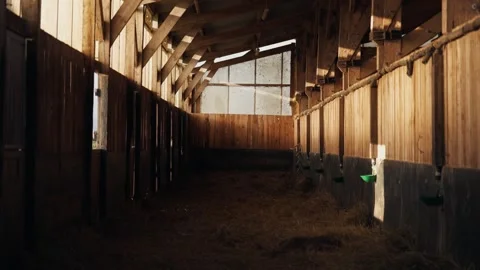 Interior of empty wooden stable with sunbeams and hay on the floor Stock Footage 332043042