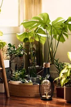 Interior garden Stock Photos