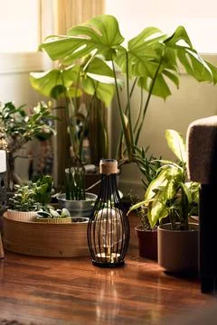 Interior garden Stock Photos