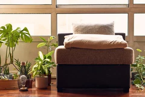 Interior garden Stock Photos