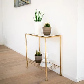 Interior; golden-marble side table with indoor plants on parquet floor Stock Photos