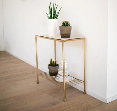 Interior; golden-marble side table with indoor plants on parquet floor Stock Photos