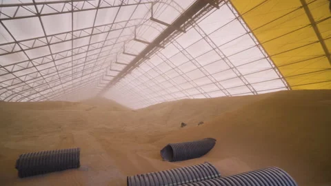 Interior of grain storage facility Vídeo Stock 170770857