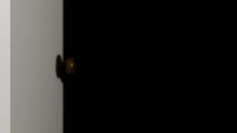 Interior Home Door Opens And Closes Revealing Copy Space Stock Footage 221517447