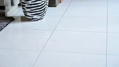 Interior home footage view of small tree on vase 库存影片 126864244