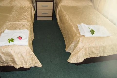 The interior of the hotel with two beds covered with luxurious gold bedspread Stock Photos