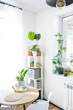 The interior of the house with large windows with a layout and home plants .. Stock-Fotos