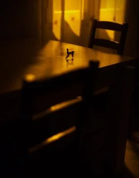 Interior light 2 Stock Photos