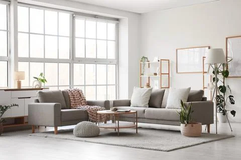 Interior of light living room with sofas, shelf units and frames Фото