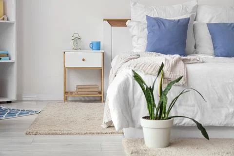 Interior of light room with bed, table and plant Stock Photos