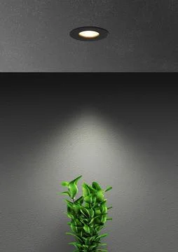 Interior lighting using led downlight night scene with green plant Stock Photos
