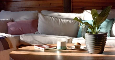 Interior of log cabin with sofa, coffee table and plant, in slow motion Stock Footage 244717747