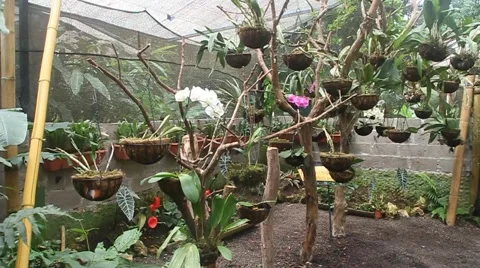 Interior of Mariposario Stock Footage 58858600
