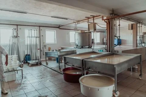 The interior of a modern factory for the processing of dairy products and the Stock Photos
