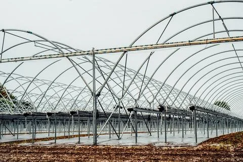 Interior of modern hothouse with an advanced system of irrigation and plant care Foto stock