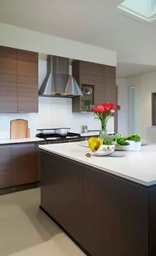 Interior of a modern kitchen Stock Illustration