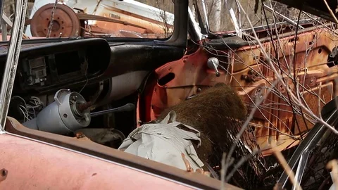 Interior of an old abandoned car Stock Footage 78826527