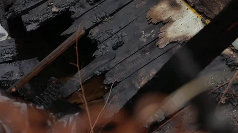 Interior old burnt of fire burned-down wooden house after Video stock 84752610