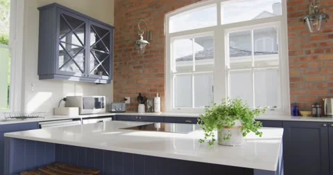 Interior of open plan kitchen and dining room with plant on countertop Stock Footage 165783070
