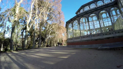 Interior Of Palacio De Cristal Del Retiro Stock Footage 104717309