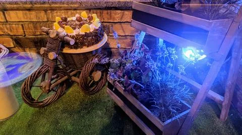 Interior Stock Photos