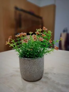 Interior Stock Photos