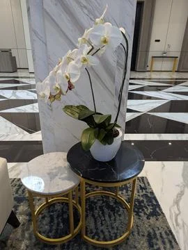 Interior Stock Photos