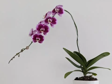 Interior Stock Photos