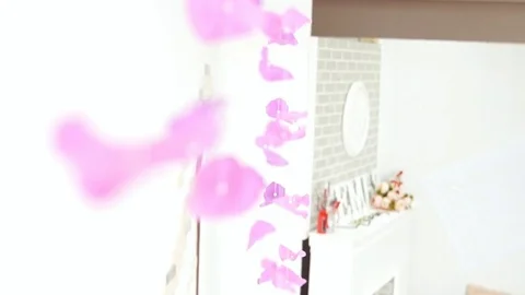 Interior photo studio Stock Footage 77531214