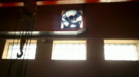 Interior plant Stock Footage 22304973