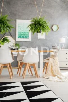 Interior with poster and ferns Stock Photos
