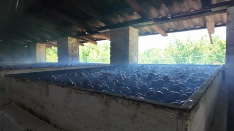 Interior of a prune drying facility with multiple smoking ovens. Stock Footage 331650124