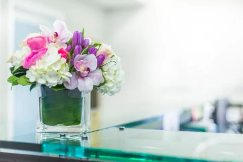 Interior of Reception at the clinic Stock Photos