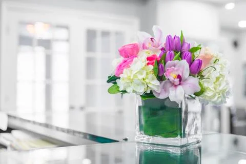Interior of Reception at the clinic Stock Photos