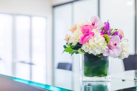 Interior of Reception at the clinic Stock Photos